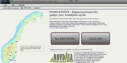 Del dine observasjoner av store rovdyr